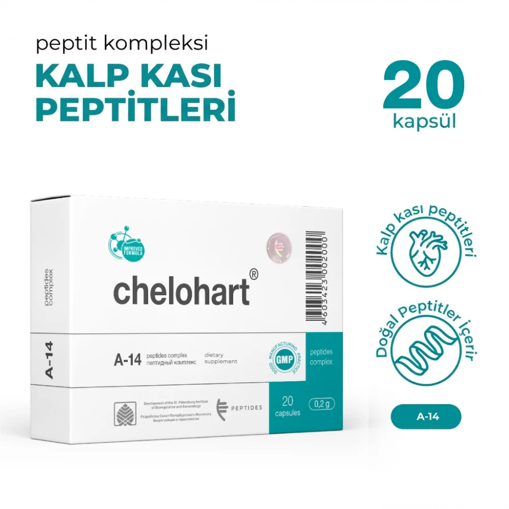 Chelohart A-14 Kalp Kası Chelohart A-14 Kalp Kası - Detay Görseli