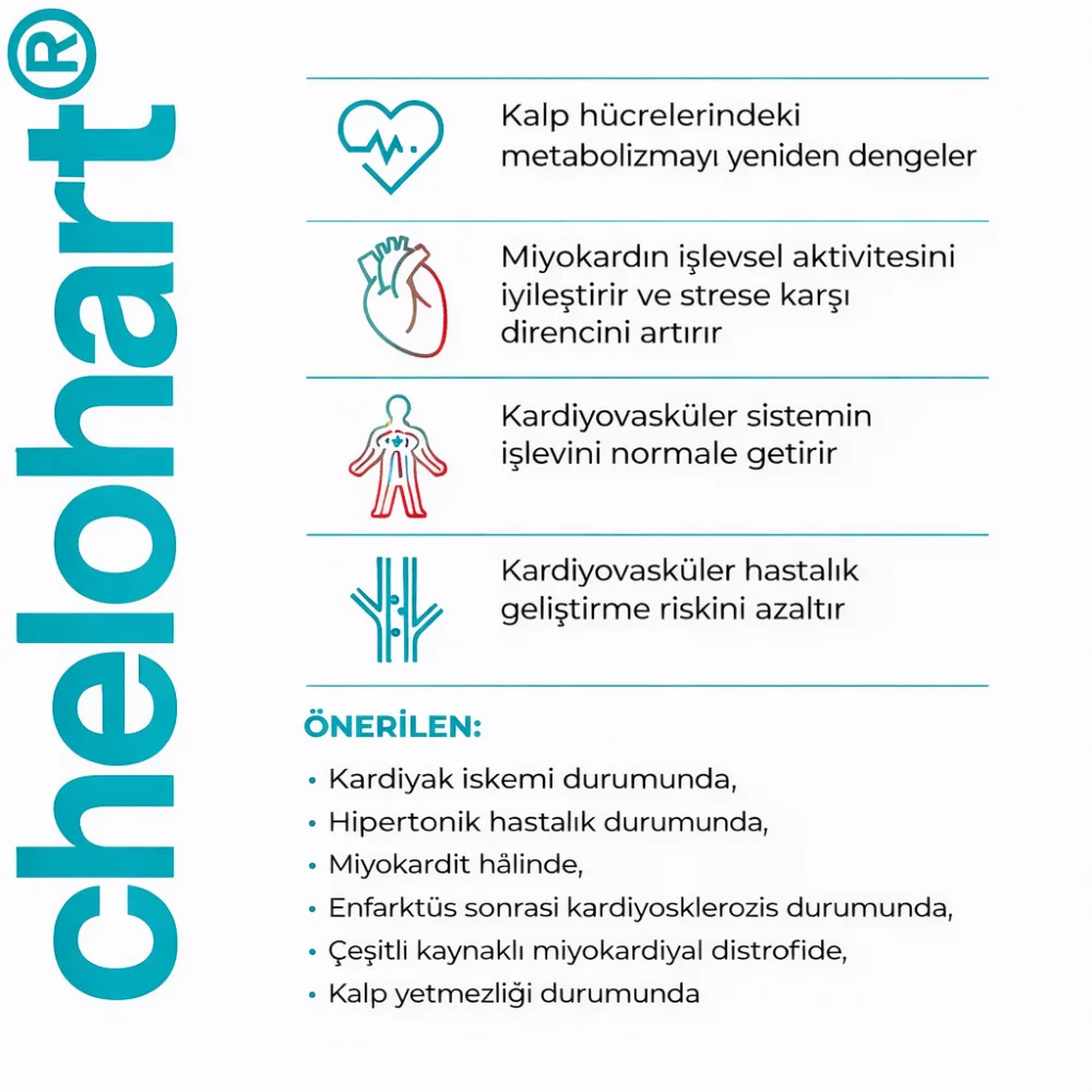 Chelohart A-14 Kalp Kası - Laboratuvar Analiz Görseli 4