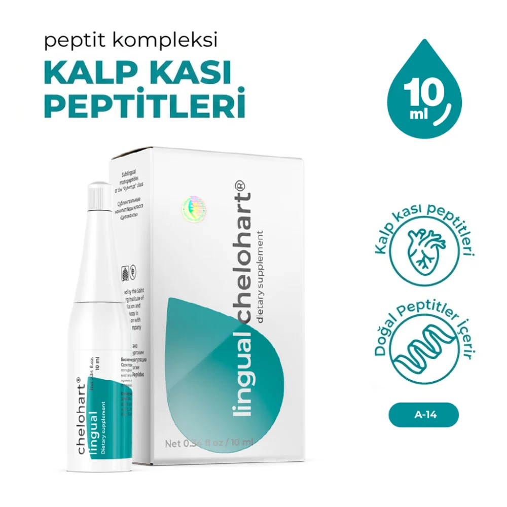 Chelohart A-14 Lingual Kalp Kası Chelohart A-14 Lingual Kalp Kası - Araştırma Peptiti Referans Standardı
