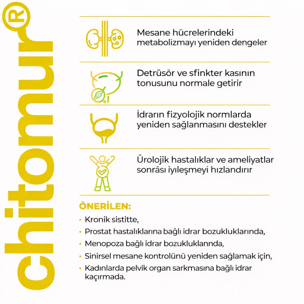Chitomur A-12 Lingual Mesane Peptidi - Laboratuvar Analiz Görseli 3