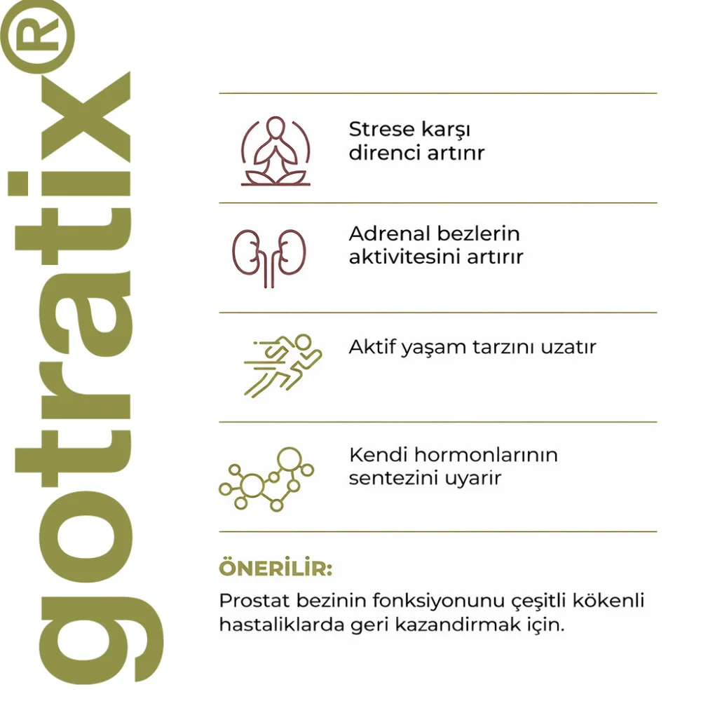 Gotratix A-18 Kas Sistemi - Laboratuvar Analiz Görseli 4