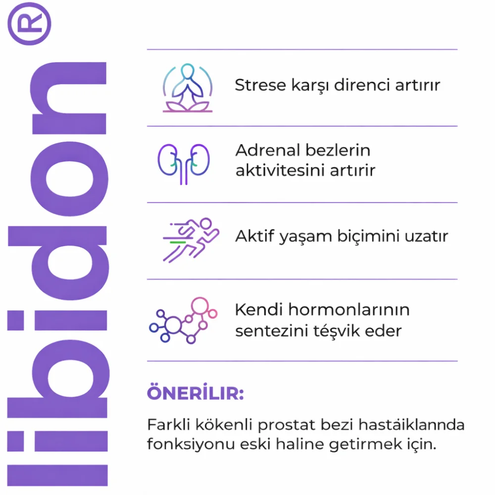 Libidon A-16 Lingual- Prostat Bezi Peptitleri - Laboratuvar Analiz Görseli 3