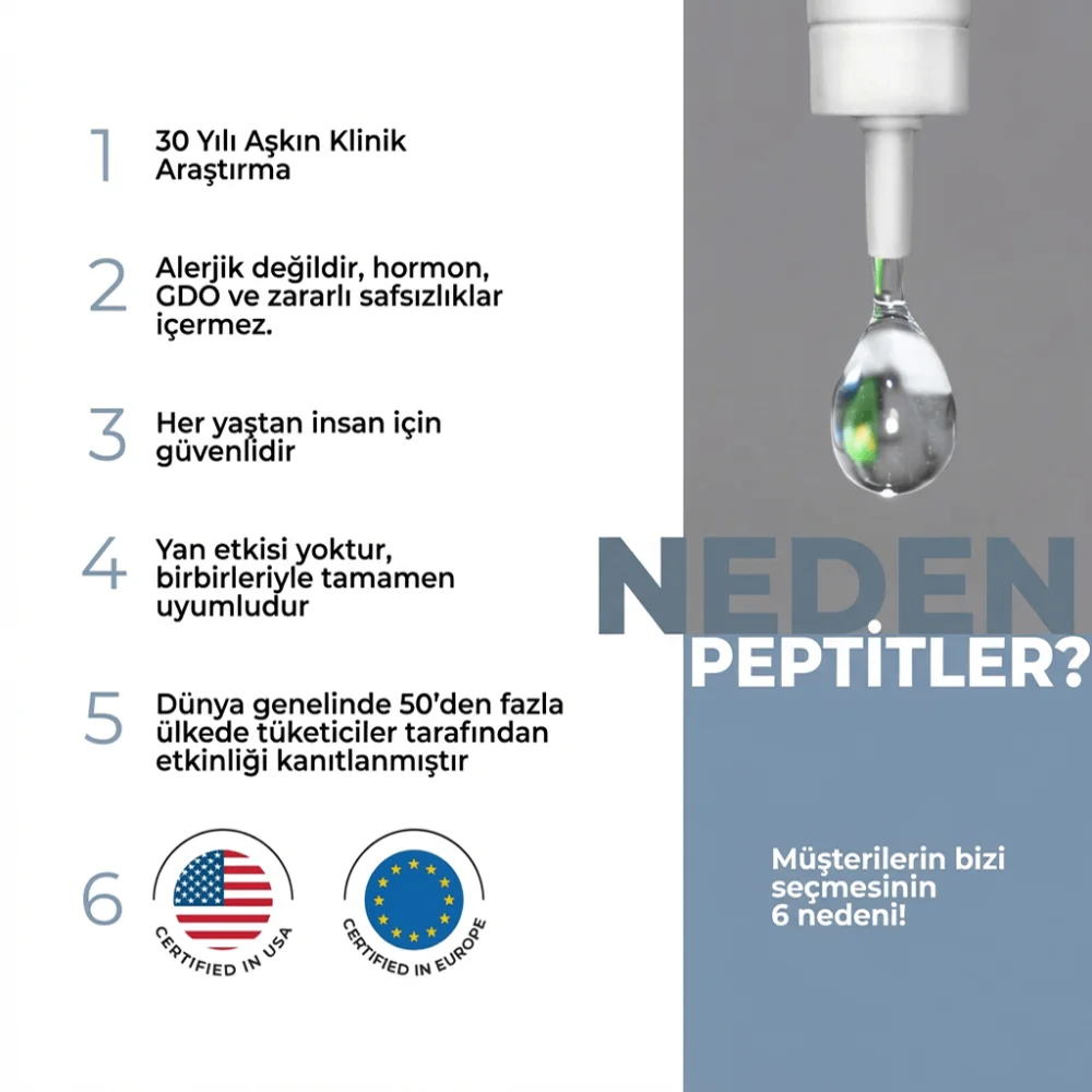 Pinealon Lingual- Beyin ve Sinir Sistemi Kompleksi Pinealon Lingual- Beyin ve Sinir Sistemi Kompleksi - Detay Görseli
