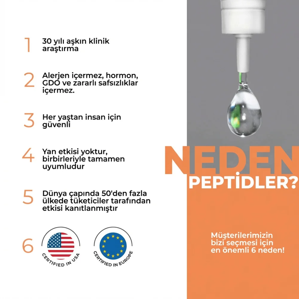Stamakort A-10 Lingual Mide ve Sindirim Sistemi Stamakort A-10 Lingual Mide ve Sindirim Sistemi - Detay Görseli