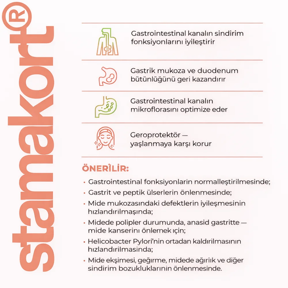 Stamakort A-10 Lingual Mide ve Sindirim Sistemi - Laboratuvar Analiz Görseli 3