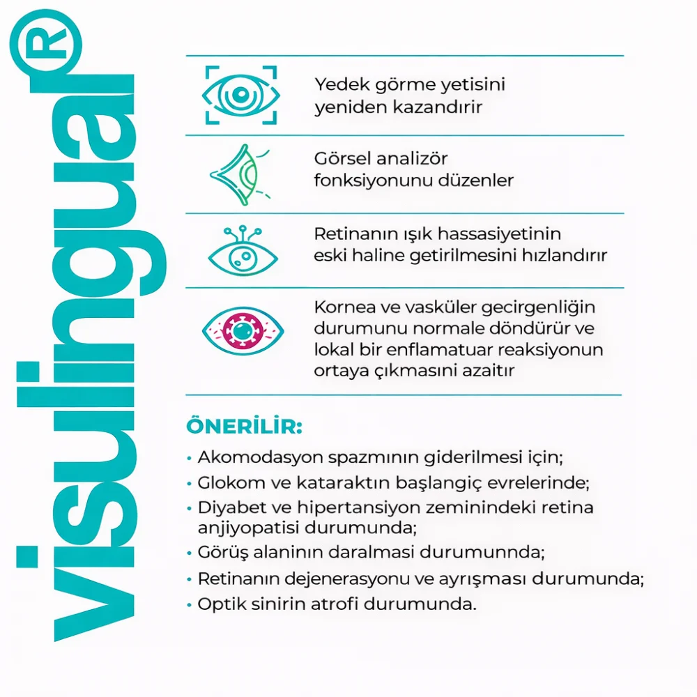 Visulingual Lingual Görme Sistemi Visulingual Lingual Görme Sistemi - Detay Görseli